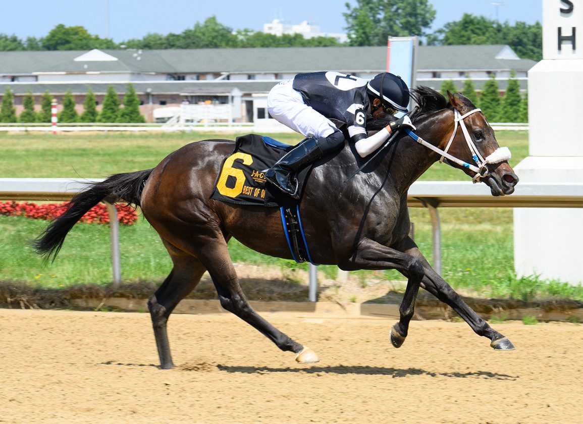 Week in Review: 'Off the Grid' Ohio-Bred Filly a Perfect 10-for-10