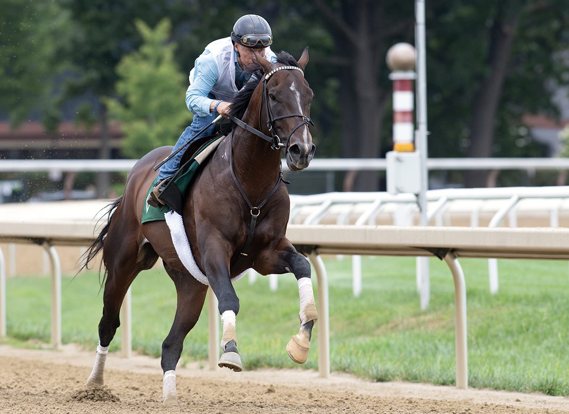Saratoga Notebook, Presented by NYRA Bets: Sovereignty Will Face Just Four in Travers